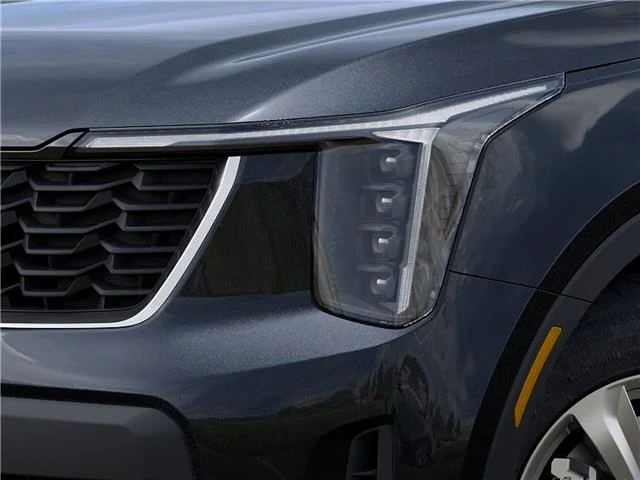 New 2026 Panthera Metal Kia LX image 37