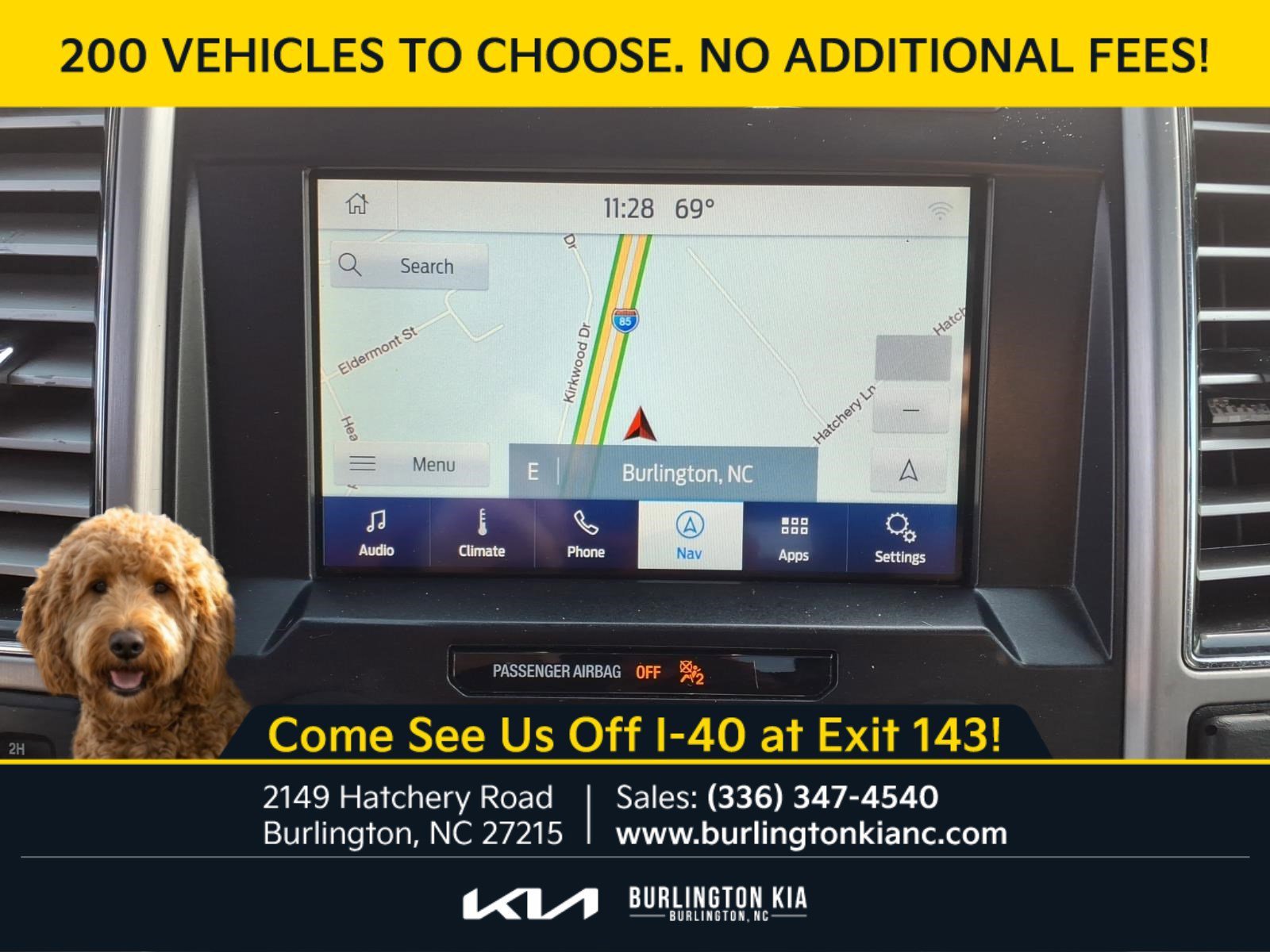 Used 2020 Blue Ford Platinum image 12