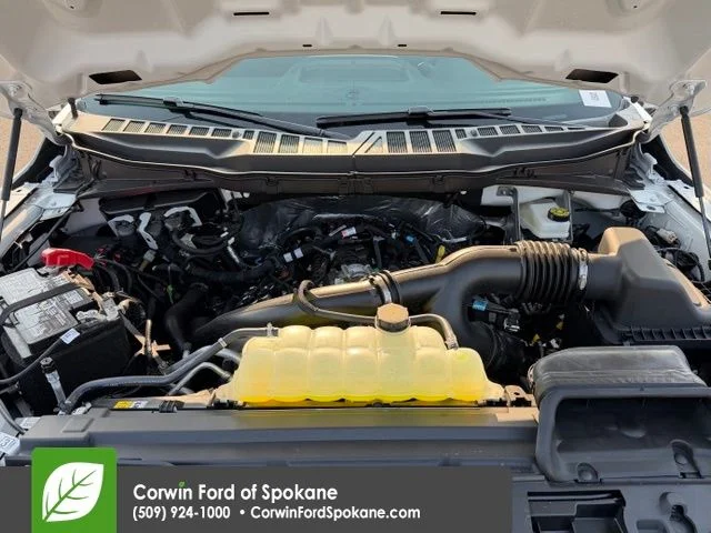 New 2026 White Ford STX image 29