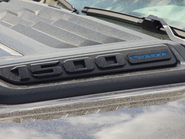 New 2026 Granite Crystal Metallic Clear-Coat Exterior Paint RAM Laramie image 34