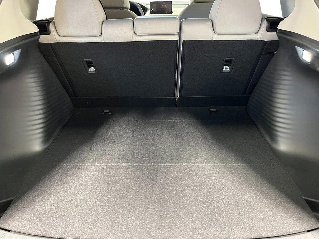 New 2026 Platinum White Pearl Honda LX image 22