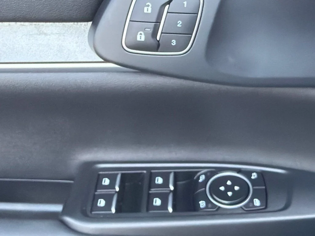 Used 2024 Cactus Green / Gray Ford Lariat image 23