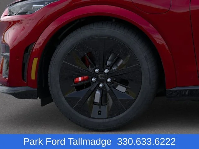 2025 Ford Mustang Mach-E GT - Photo 19