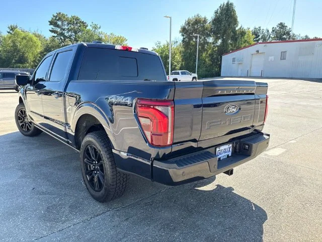 Used 2024 Blue Ford Platinum image 8