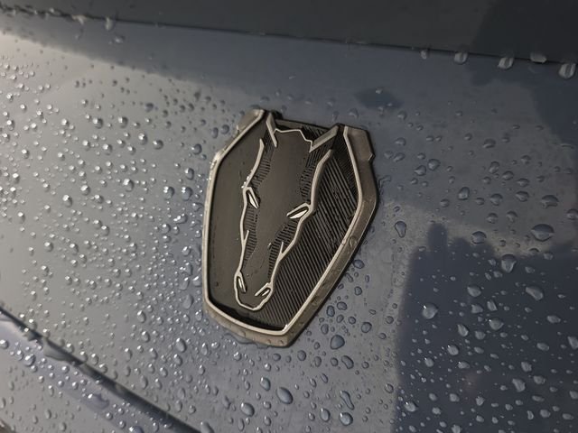 Used 2025 Vapor Blue Ford Dark Horse image 10