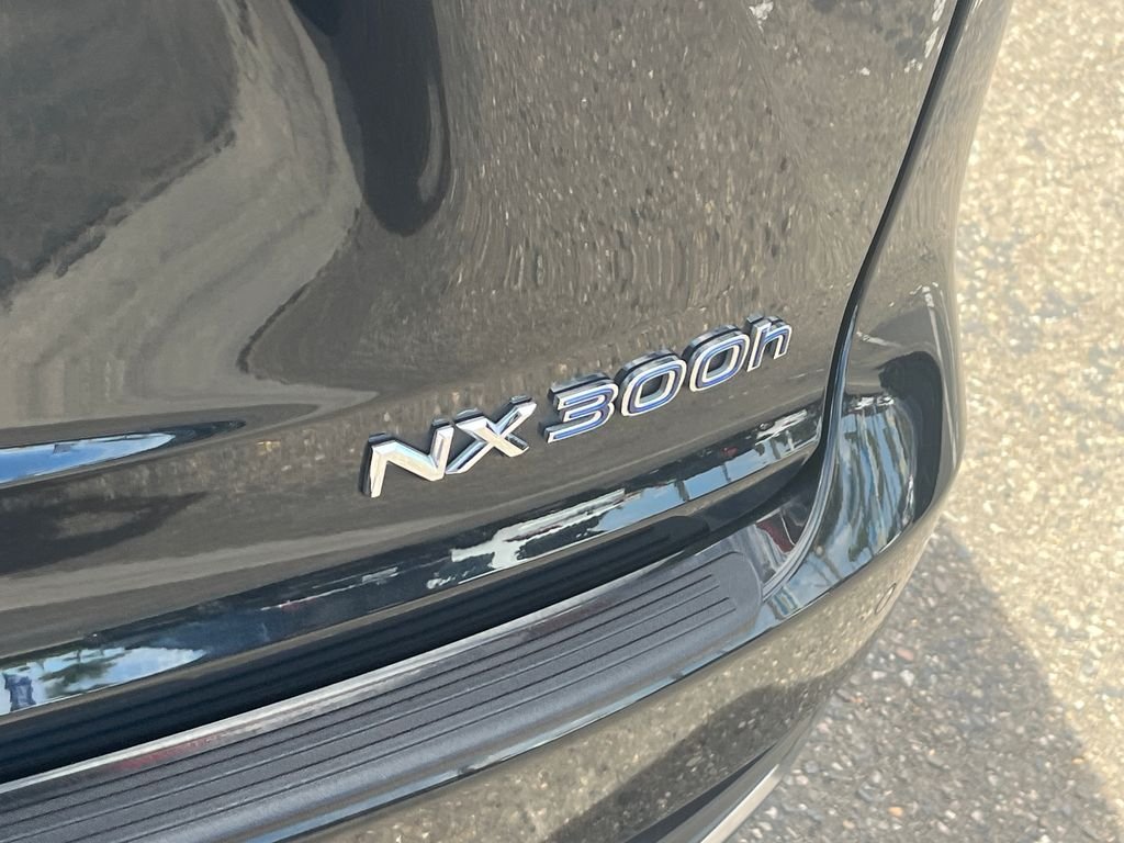 Used 2019 Black Lexus 300h image 41