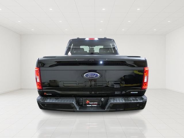 Certified Used 2023 Black Ford XLT image 5