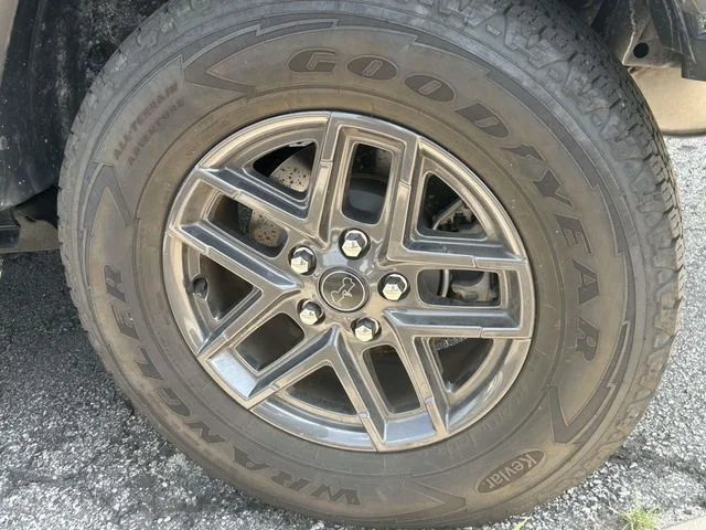 Photo 5