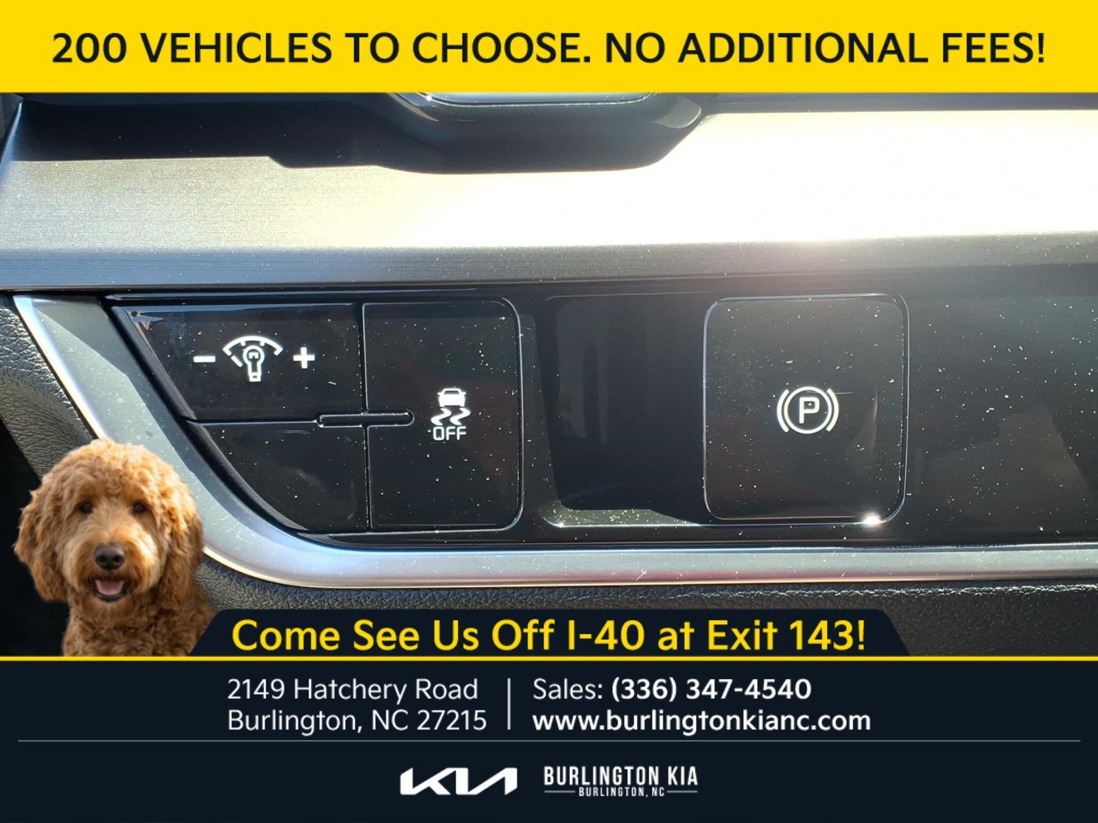 Certified Used 2024 Ebony Black Kia EX image 16