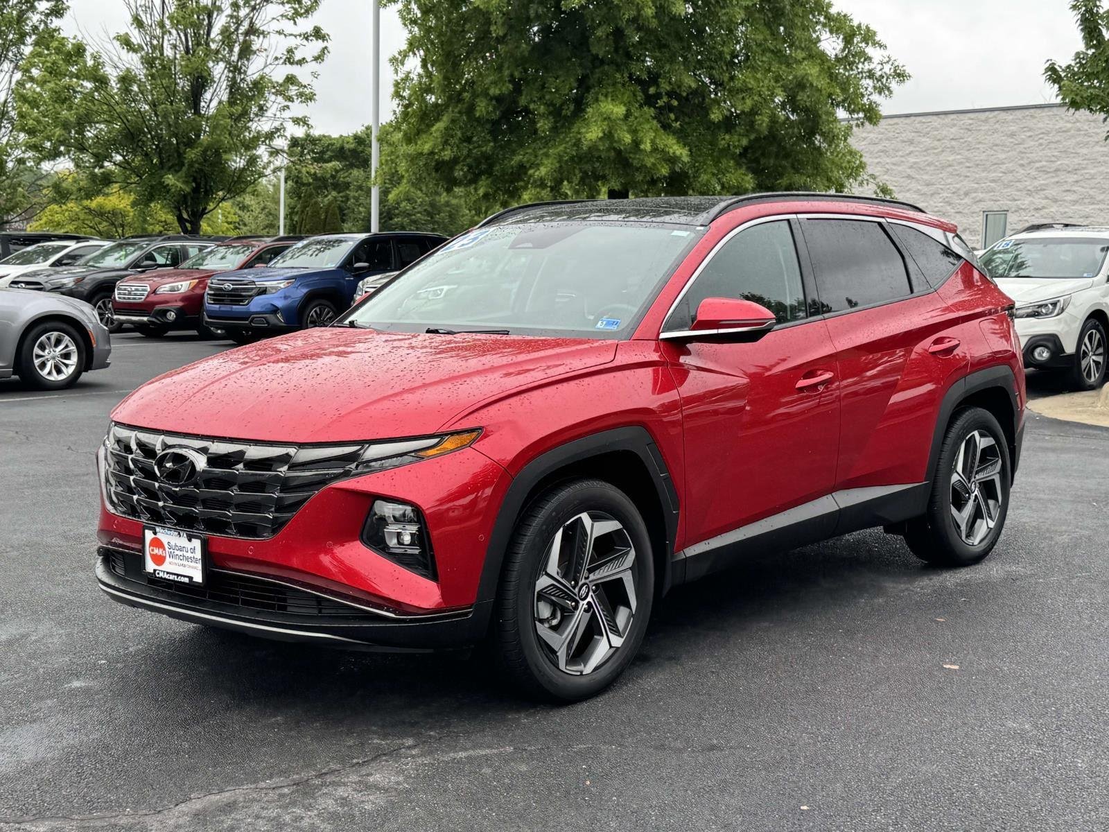 Used 2023 Calypso Red Hyundai Limited image 4