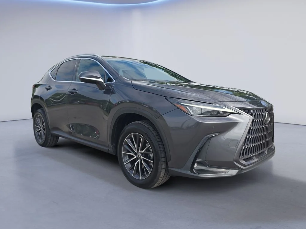 Used 2022 Cloudburst Gray Lexus Premium image 8