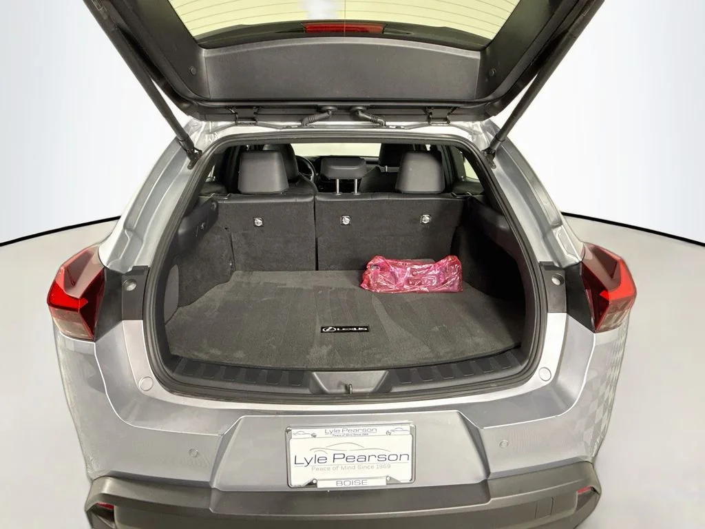 Used 2023 Iridium Lexus 250h Premium image 27