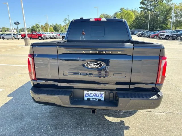 Used 2024 Blue Ford Platinum image 9