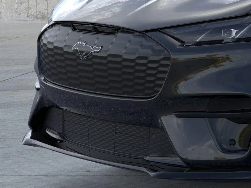 New 2026 Shadow Black Ford Premium image 17