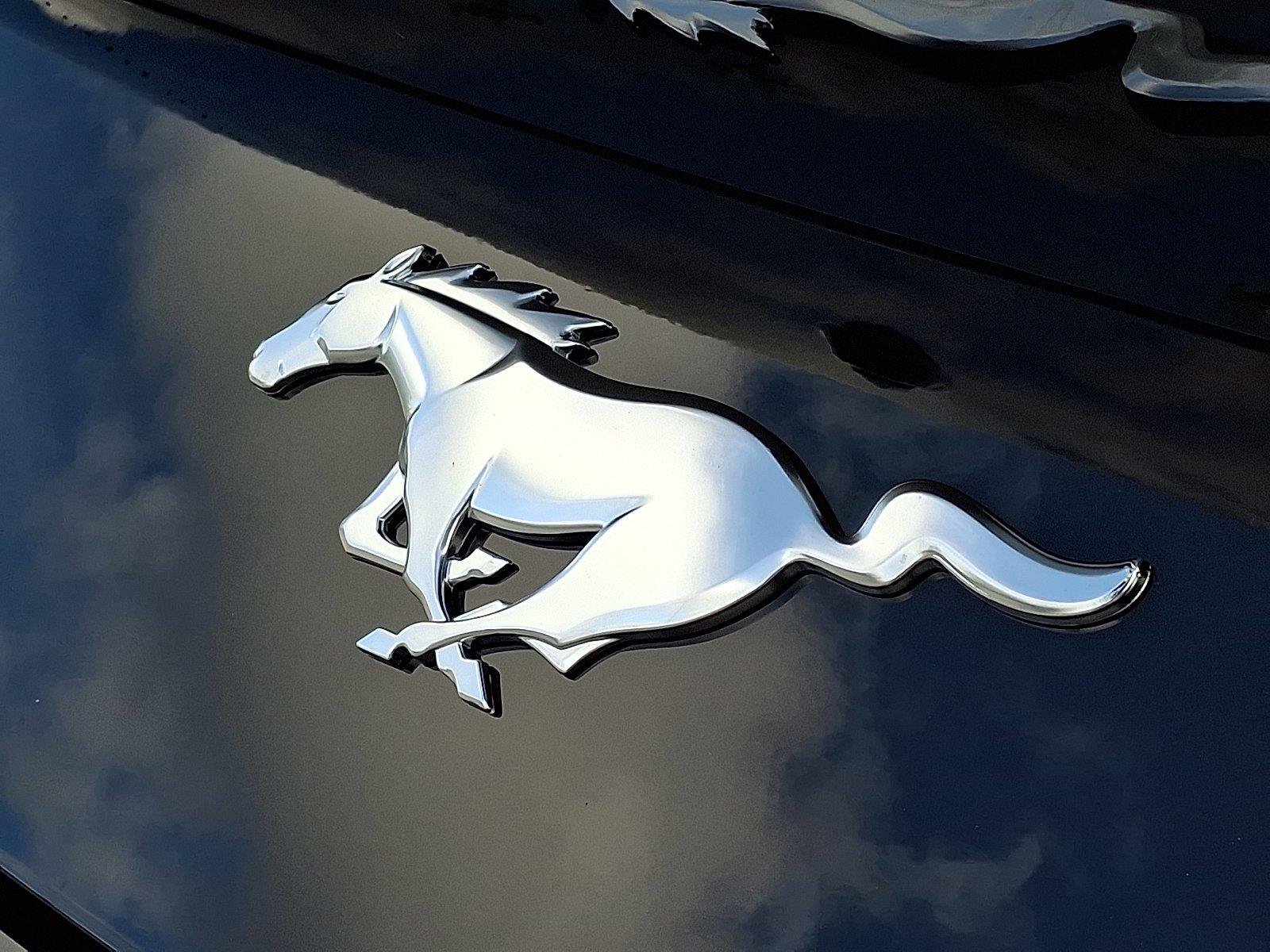 New 2026 Shadow Black Ford EcoBoost® Premium Fastback image 20