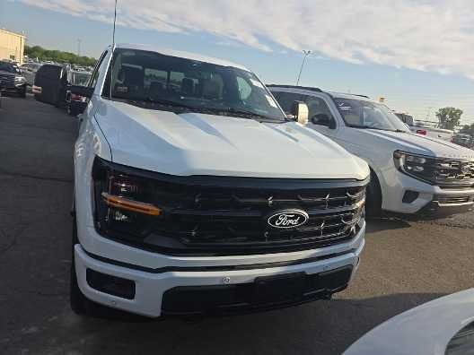 Used 2025 Oxford White Clearcoat Ford XLT image 2