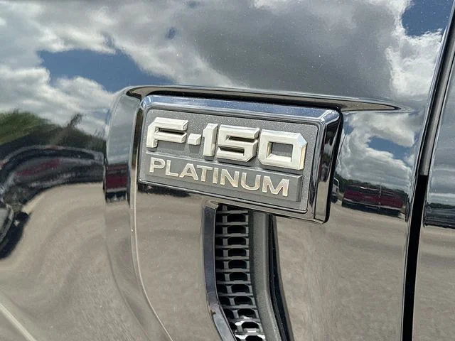 New 2026 Black Metallic Ford Platinum image 19