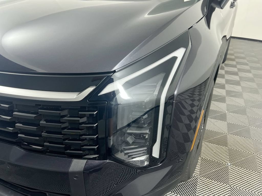 New 2026 Panthera Metal Kia EX image 11
