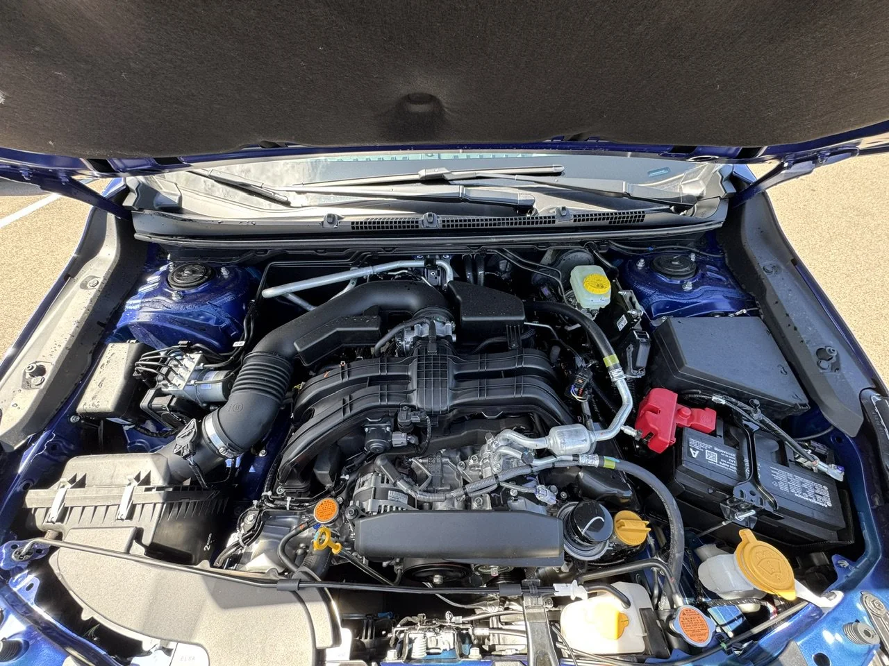 New 2026 Sapphire Blue Pearl Subaru Wilderness image 48