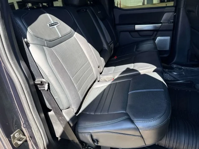Used 2024 Blue Ford Platinum image 14