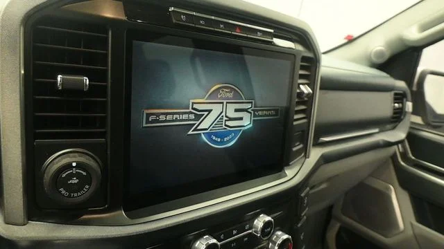 Used 2023 Star White Ford Limited image 17
