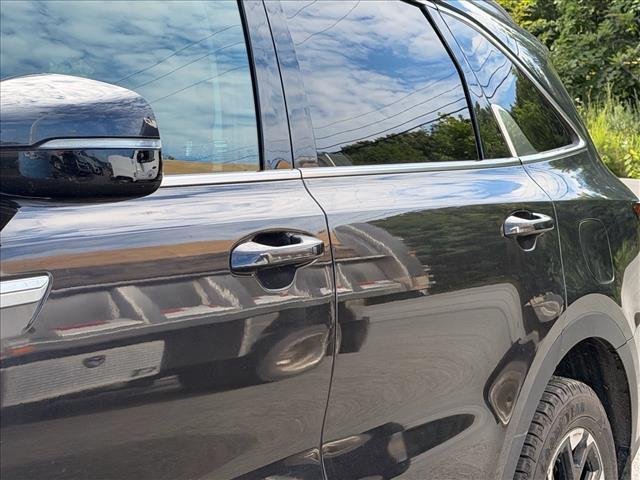Used 2025 Panthera Metal Kia S image 4