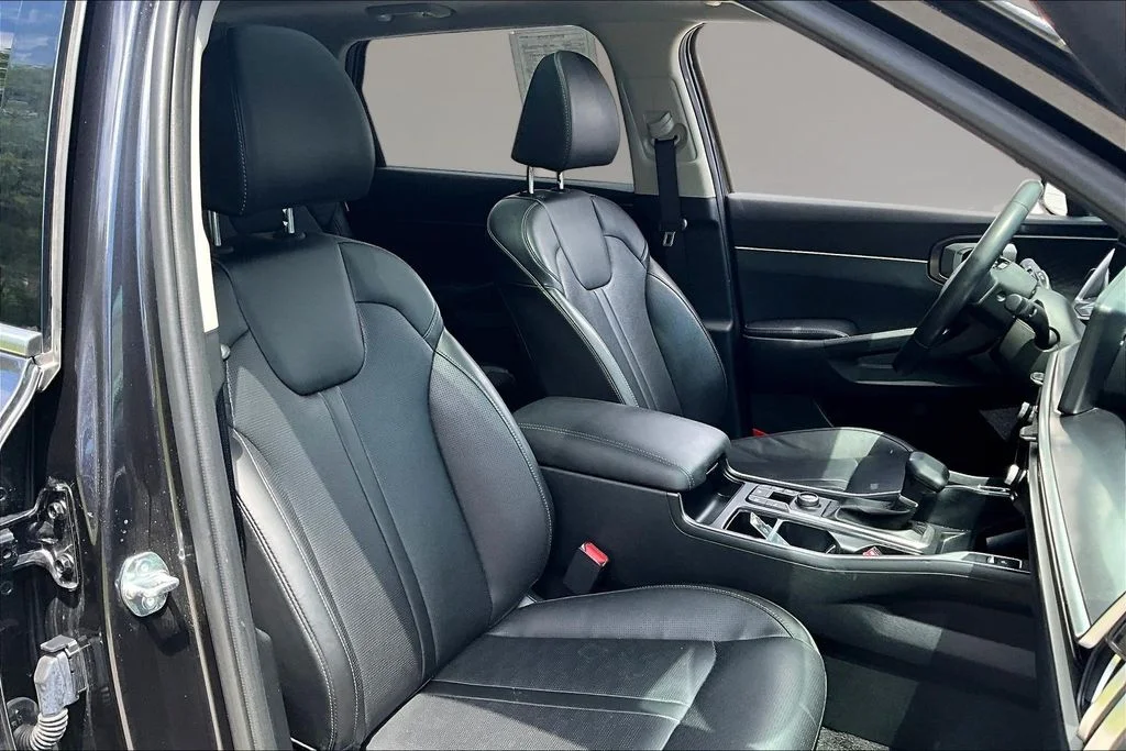 Certified Used 2025 Panthera Metal Kia EX image 29