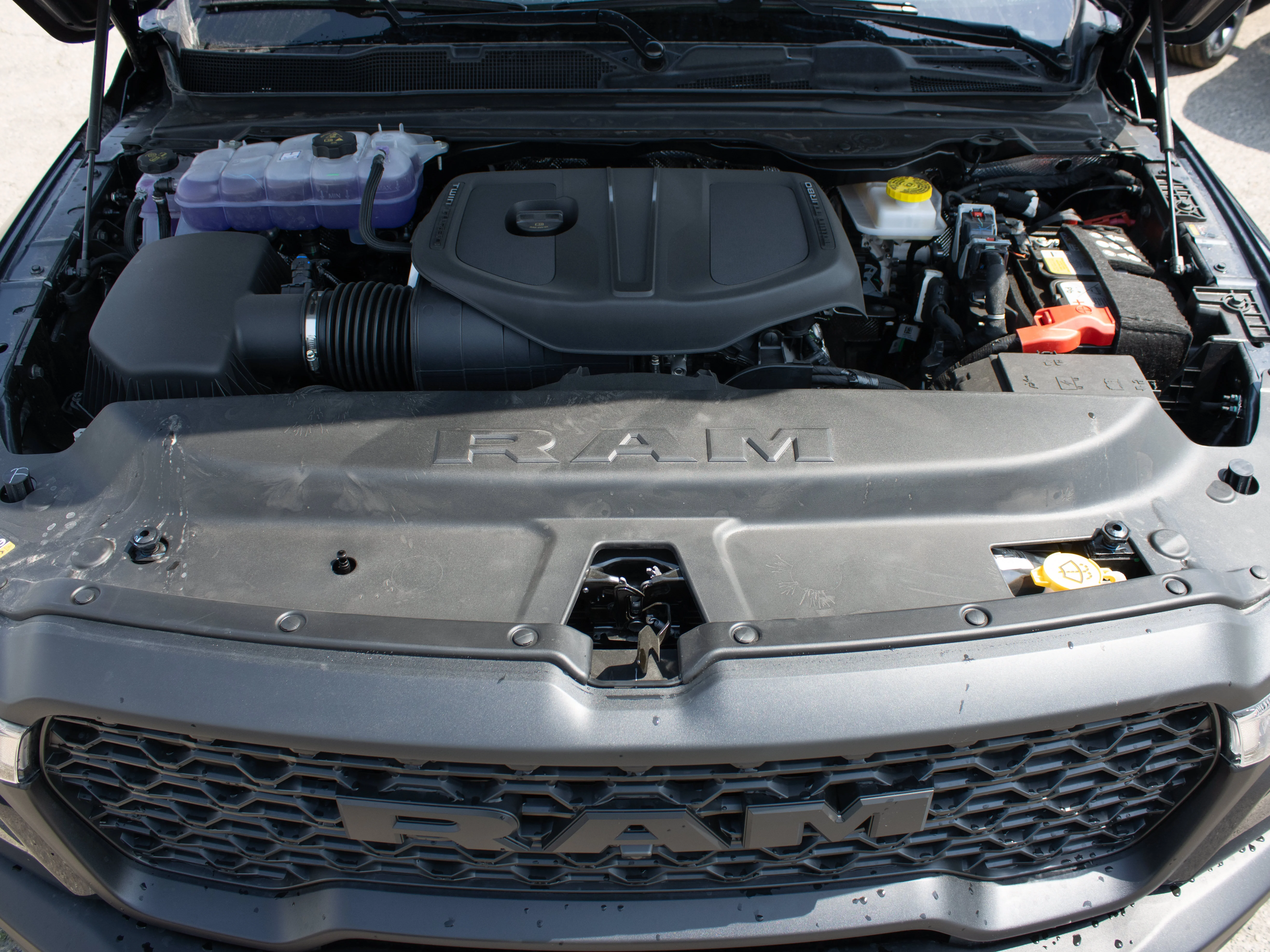 New 2026 Blue RAM Rebel* image 10