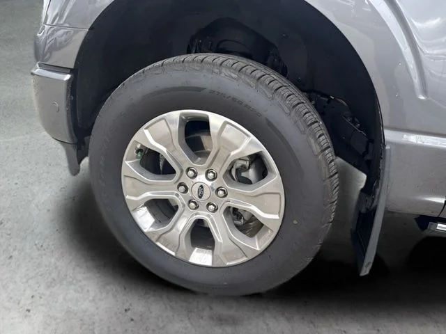 Used 2021 Gray Ford Platinum image 20