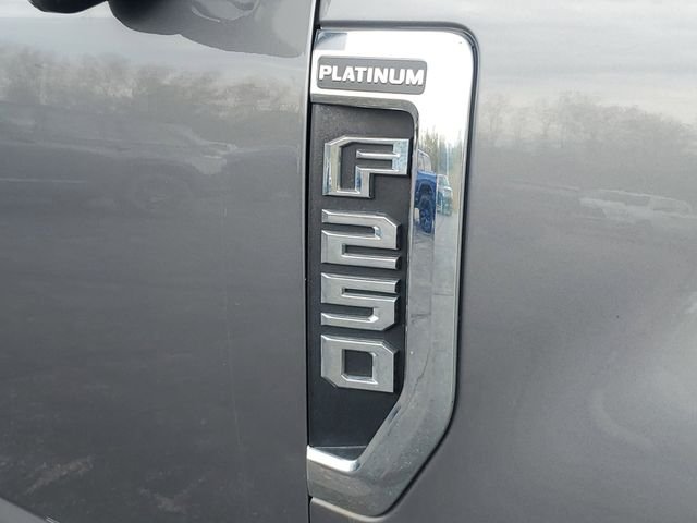 Used 2021  Ford Platinum image 6