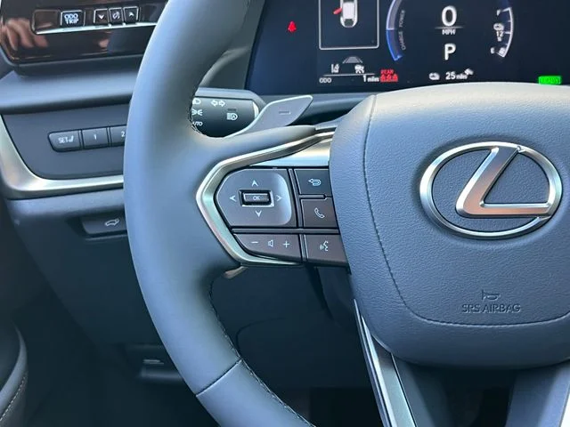 New 2026 Iridium Lexus PREMIUM image 43