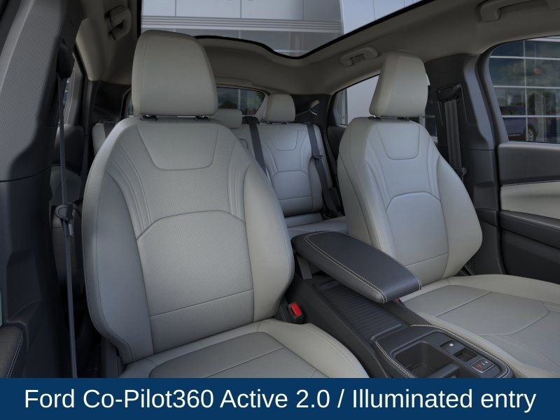 New 2026 Shadow Black Ford Premium image 14