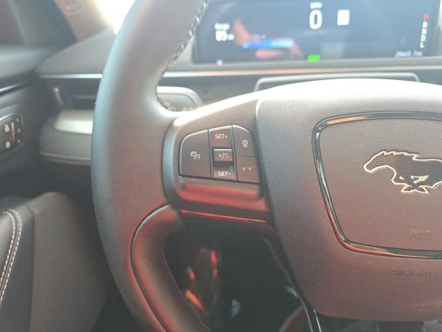 Used 2023 Gray Ford California Route 1 image 17