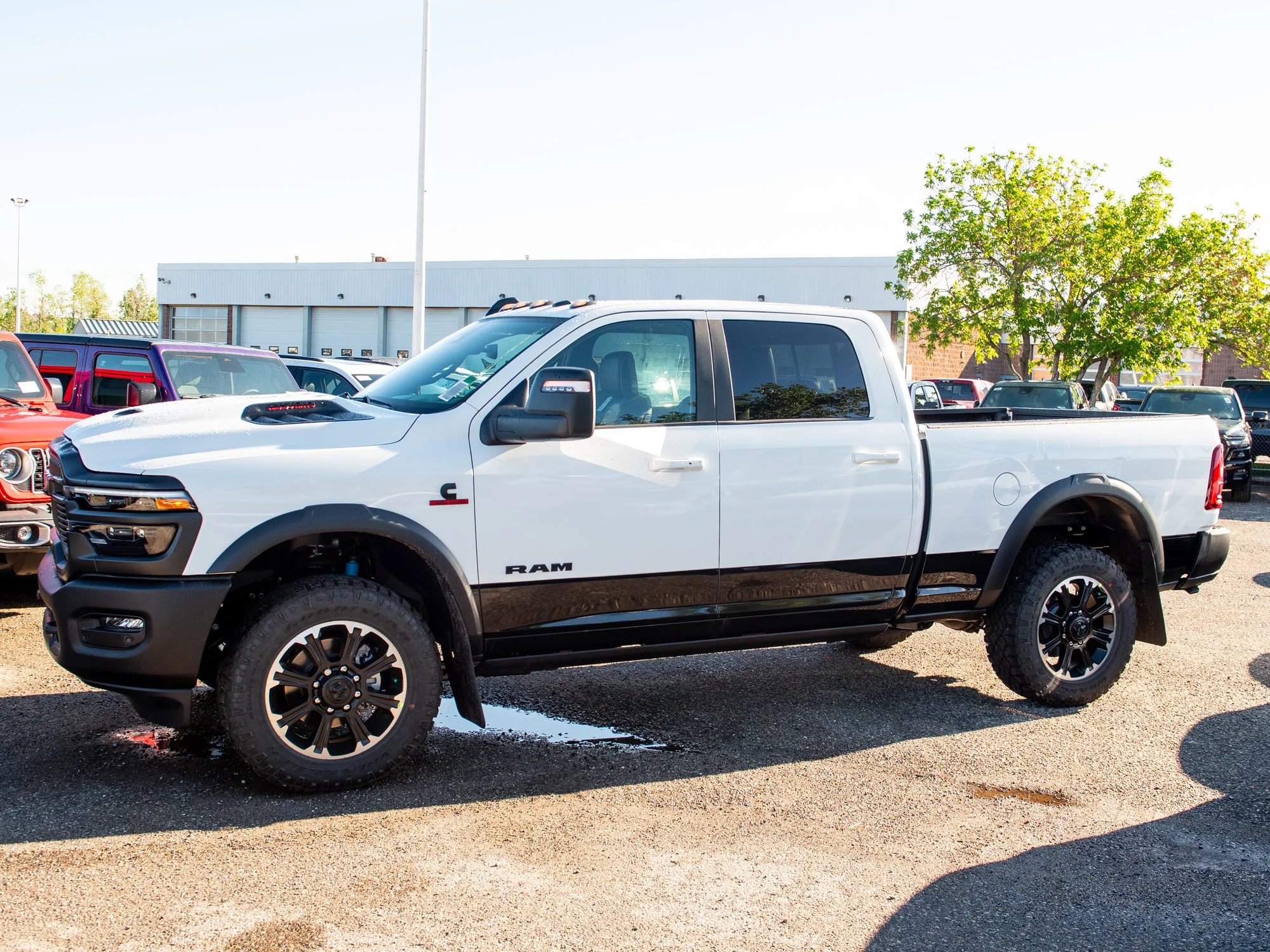 New 2026 White RAM Rebel* image 2