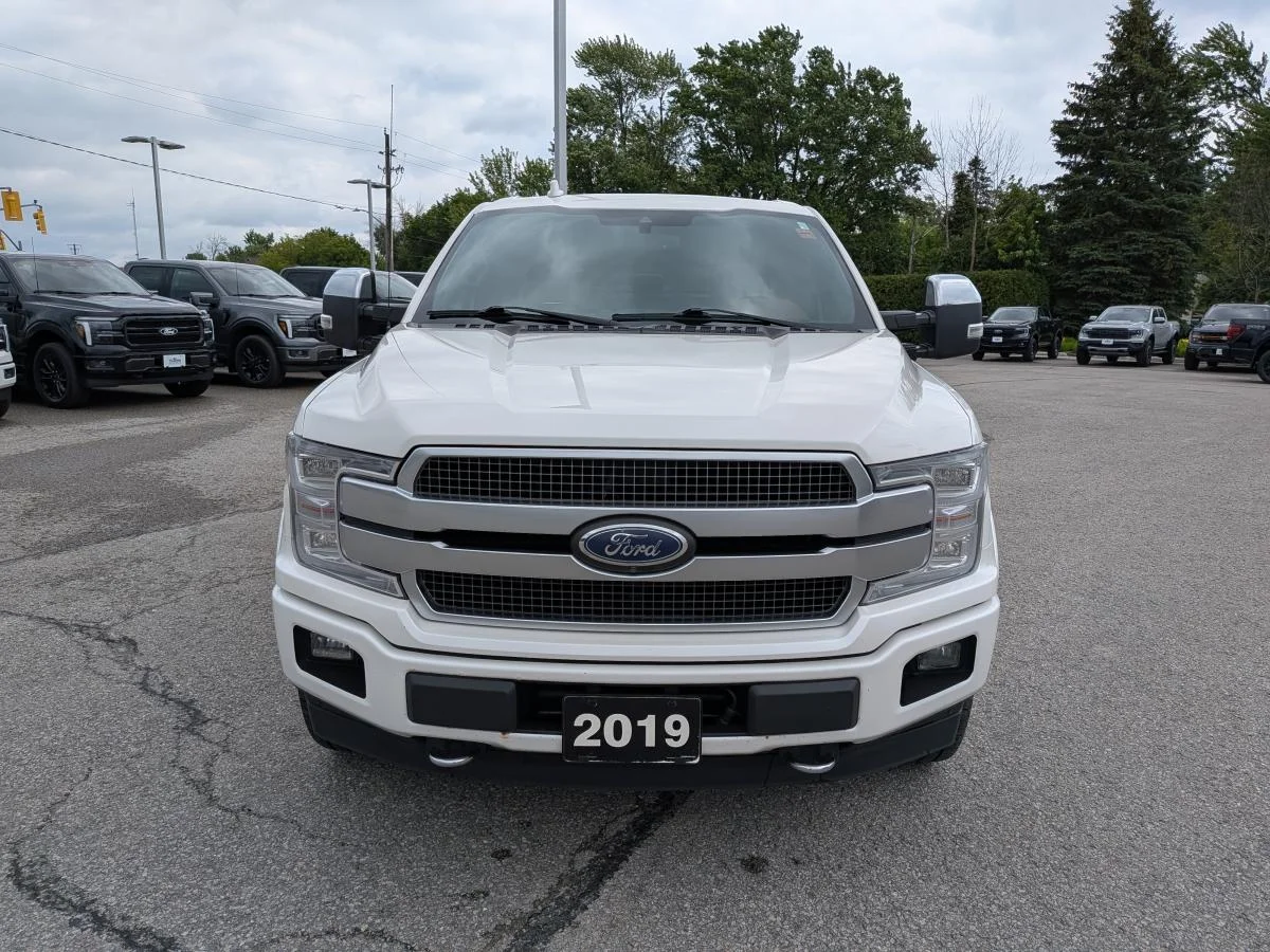 Used 2019 White Ford Platinum image 2