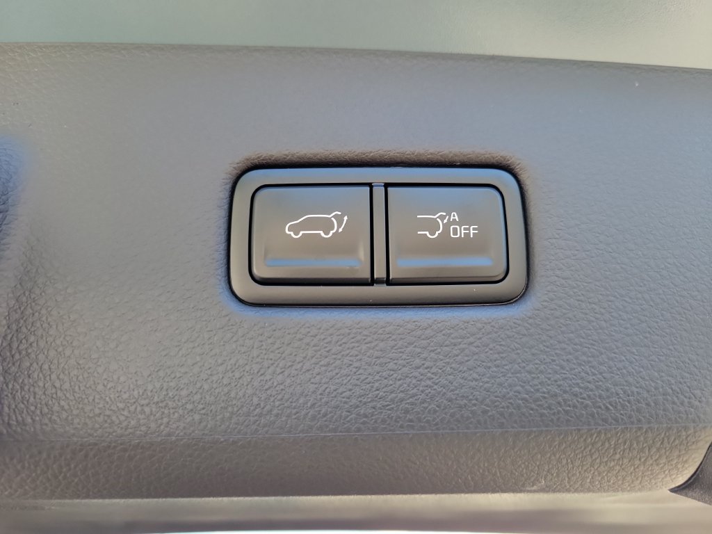 New 2027 Iceberg Green Kia EX image 15