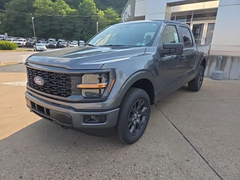 New 2026 Gray Ford STX image 3