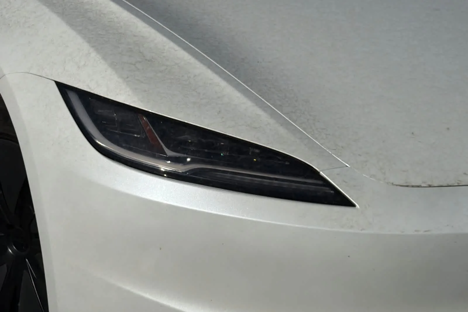 Used 2025  Tesla Long Range image 7