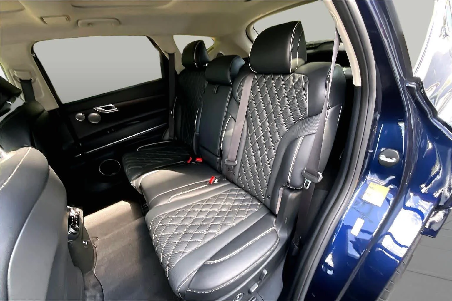 Used 2024 Capri Blue Genesis  image 21