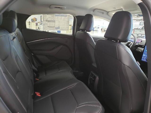 New 2026 Shadow Black Ford Premium image 17