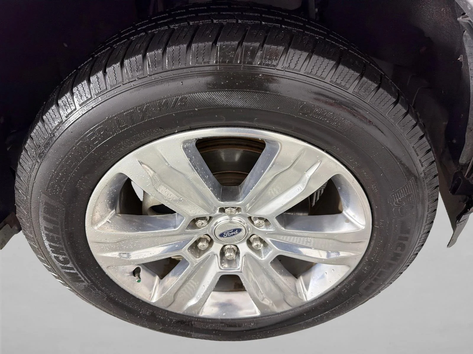 Used 2019 White Ford Platinum image 13