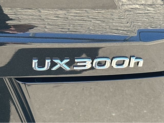 2026 Lexus UX Hybrid 300h - Photo 21