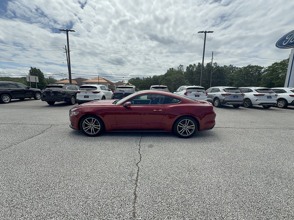 1FA6P8TH9F5317590