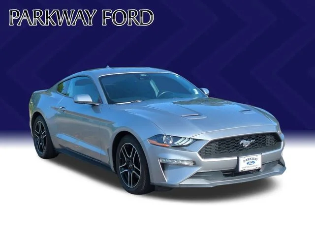 Used 2022 Silver Ford EcoBoost image 7