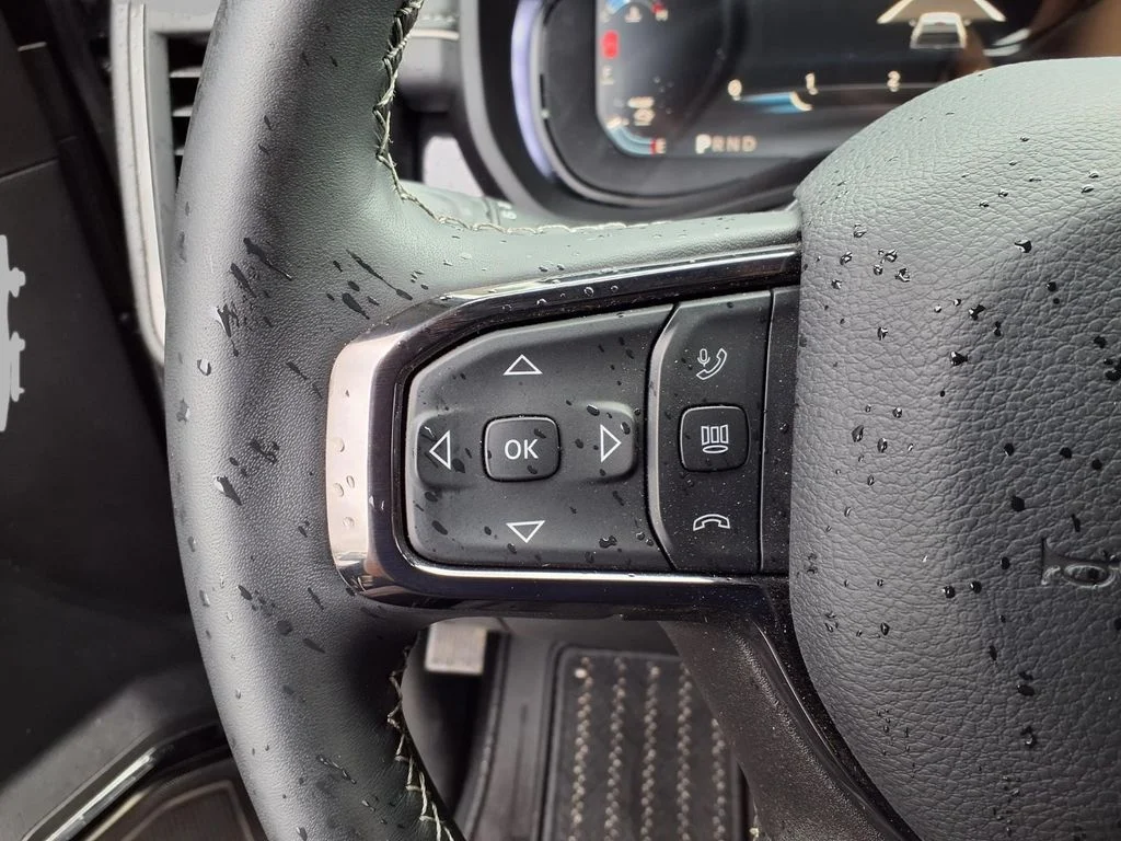 Used 2025 Black Ram Limited image 12