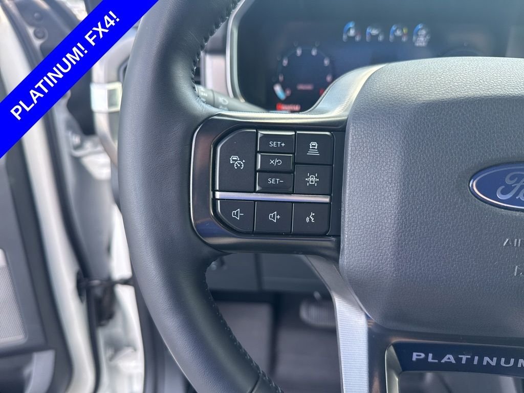 2025 Ford F-150 Platinum - Photo 33