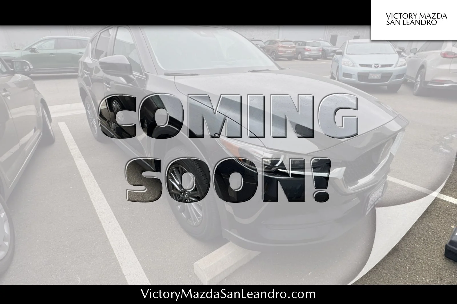 75 Used Cars, Trucks, SUVs in Stock in San Leandro | Victory Mazda