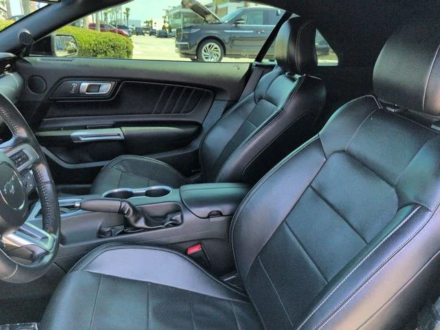 Used 2019 Black Ford EcoBoost Premium image 14