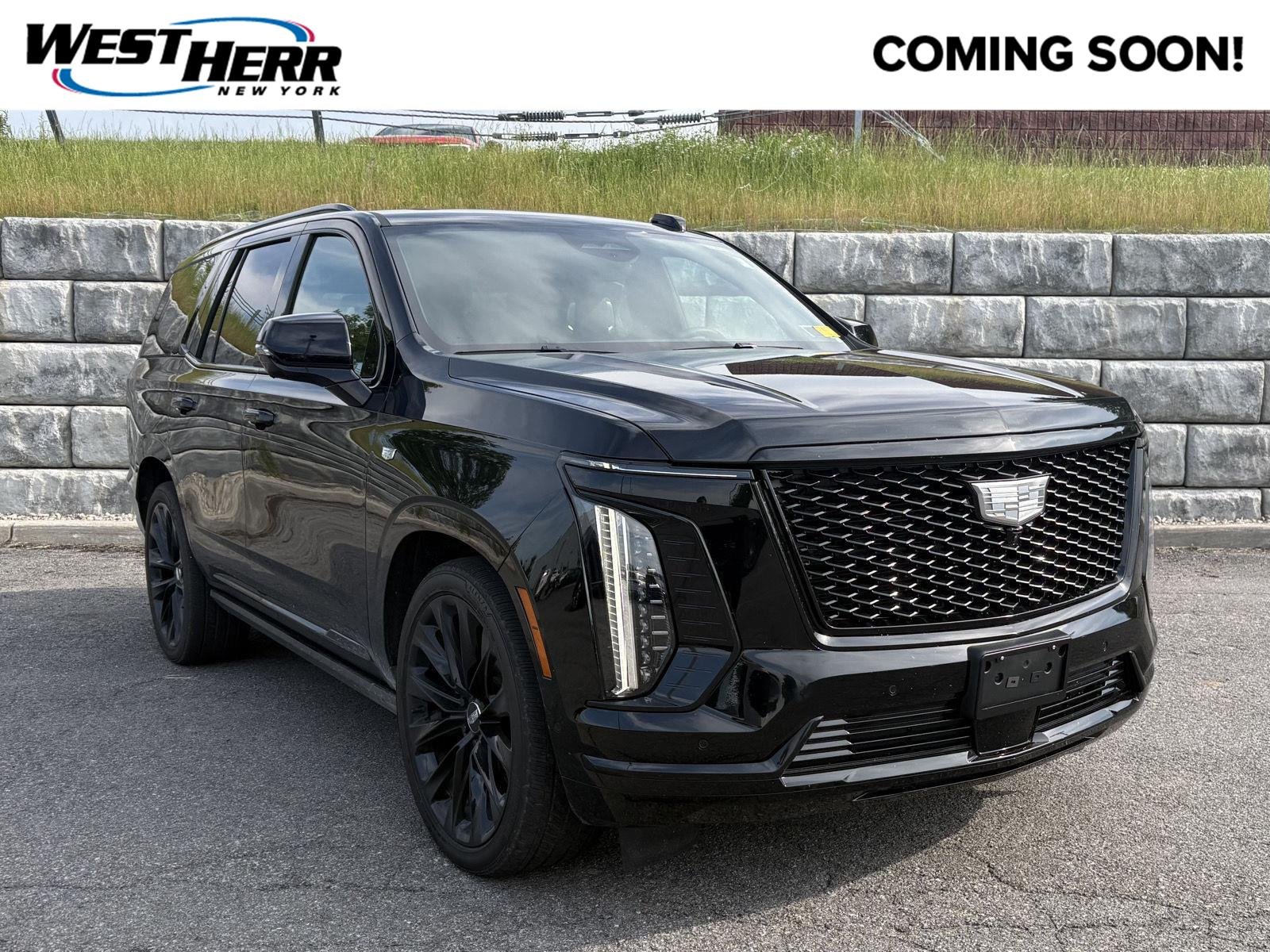 Used 2025 Black Raven Cadillac 4WD Sport Platinum image 1