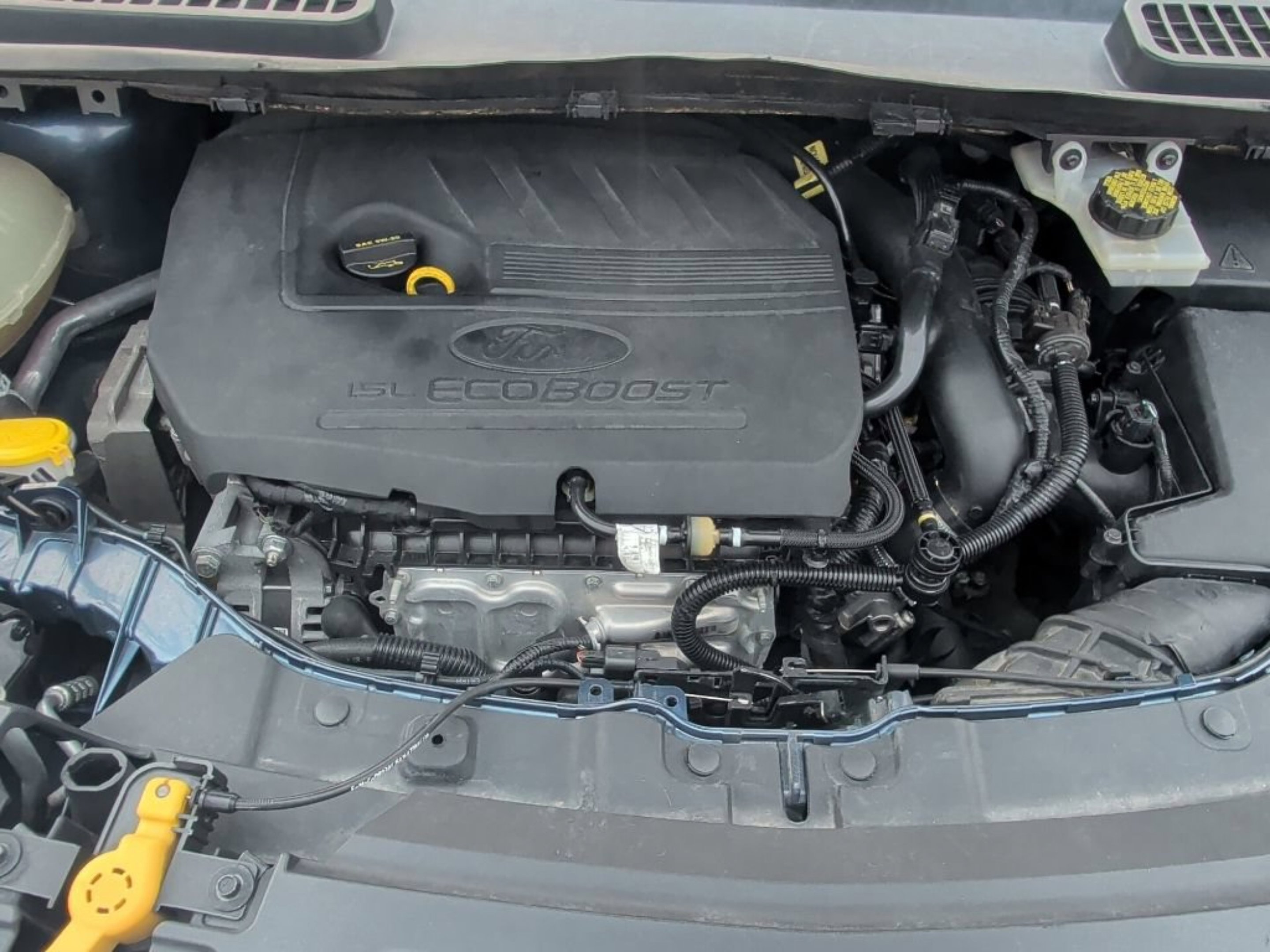 Used 2018 Blue Metallic Ford SEL image 12